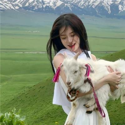 金同学的成绩单海报