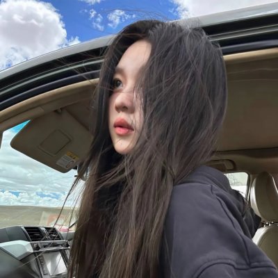 狐狸的夏天1海报